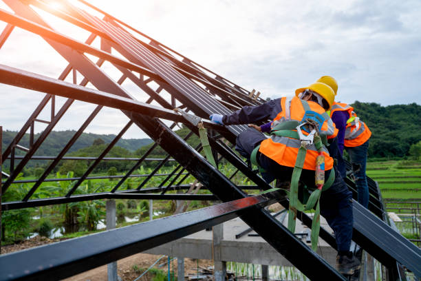 Best Metal Roofing Contractor  in Holt, MI