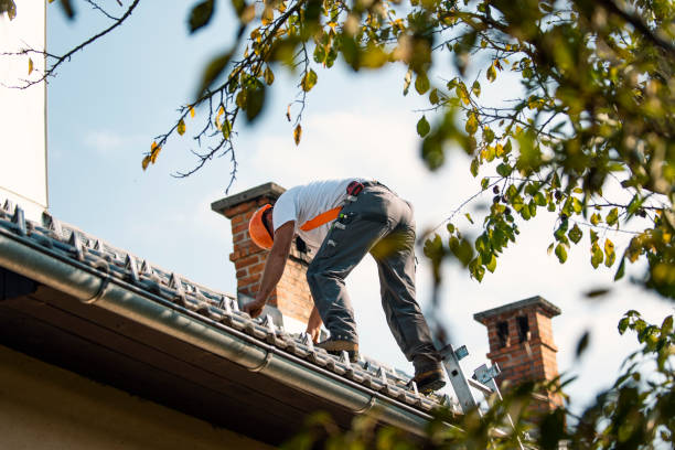 Best Emergency Roof Repair  in Holt, MI
